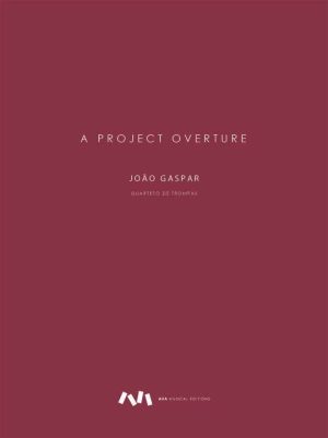 A Project Overture