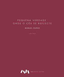 Pequena Verdade onde o Céu se Reflecte