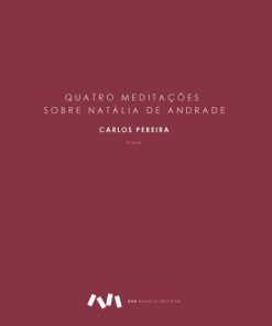 Quatro meditações sobre Natália de Andrade