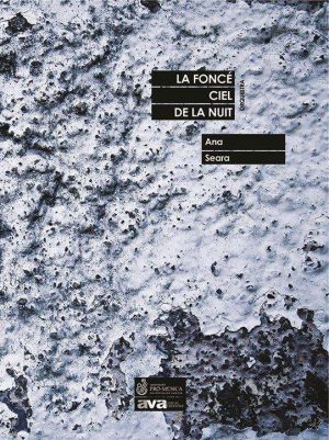Le Foncé Ciel de La Nuit Glacée