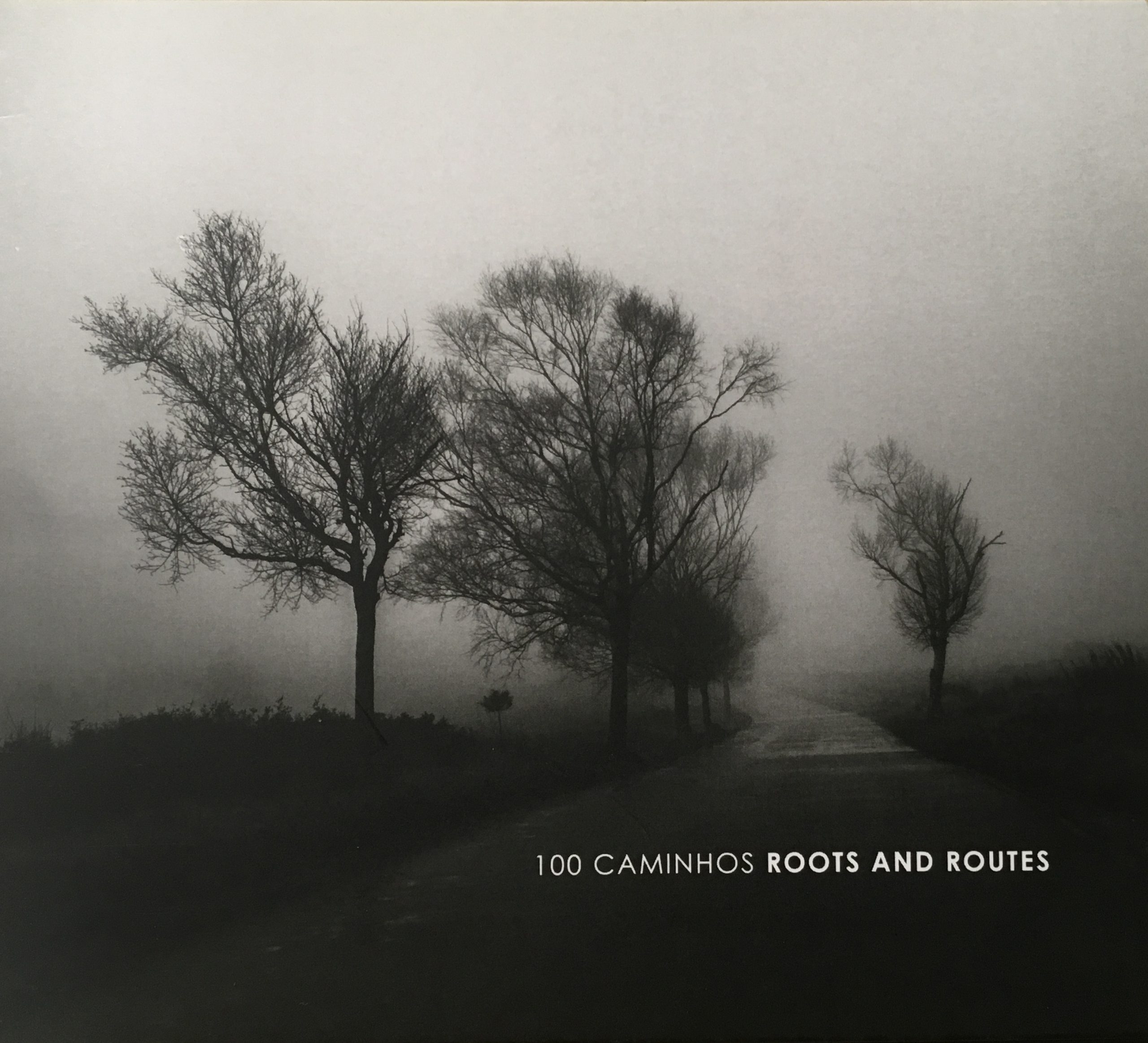 100 Caminhos / Roots and Routes - CD