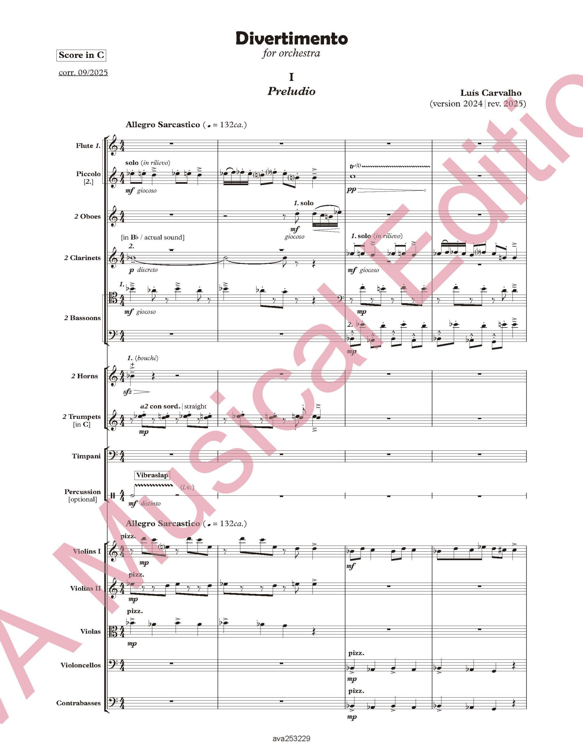 Divertimento for Orquestra - Image 2